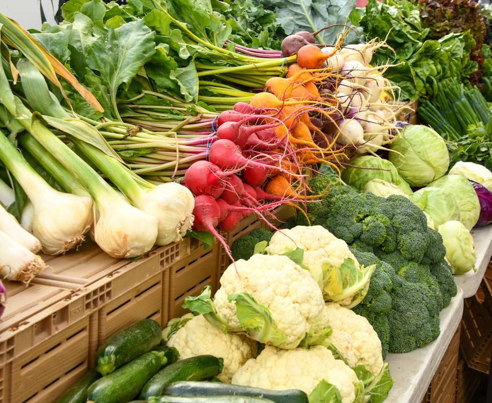 Equilibrio nutrizionale